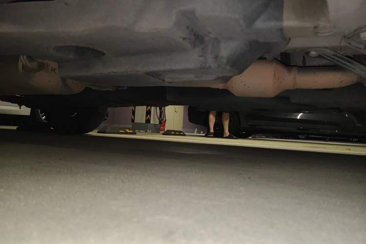 Used Lexus NX 2015 200 Front-Wheel Drive X-Trail SE Edition Chassis Front Right
