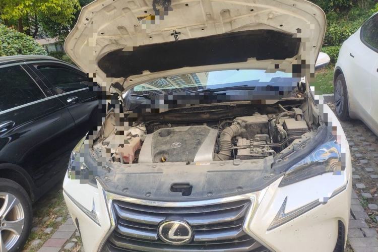 Used Lexus NX 2015 200 Front-Wheel Drive X-Trail SE Edition Engine Bay