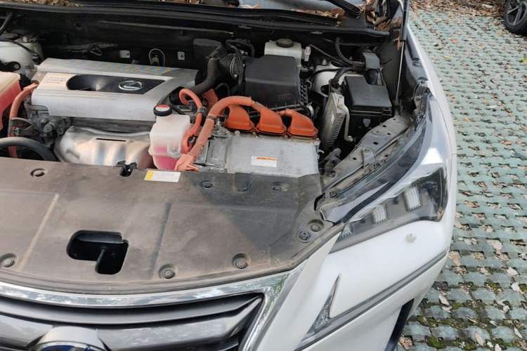 Used Lexus NX 2015 300h All-Wheel-Drive Fēngzhì Edition Engine Bay Left
