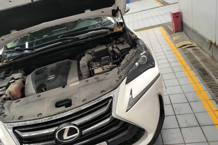 Used Lexus NX 2015 200 All-Wheel Drive Fēngshàng Edition Engine Bay Left