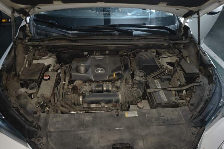 Used Lexus NX 2015 200T All-Wheel-Drive Fēngshàng Edition Engine Bay