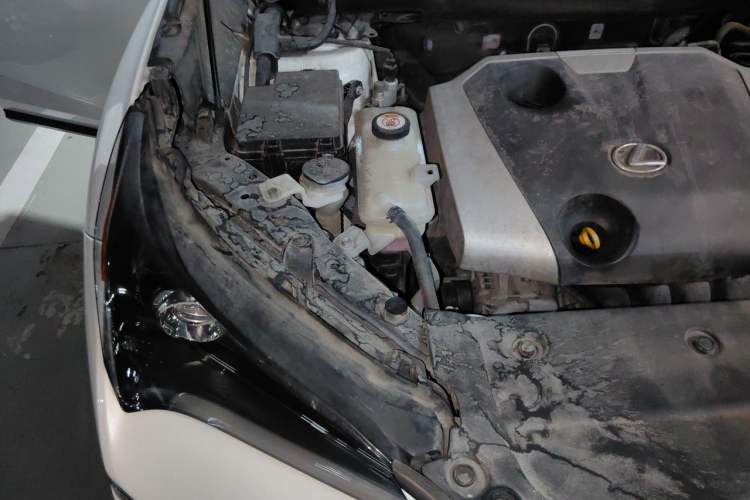 Used Lexus NX 2015 200 Front-Wheel Drive X-Trail SE Edition Engine Bay Right