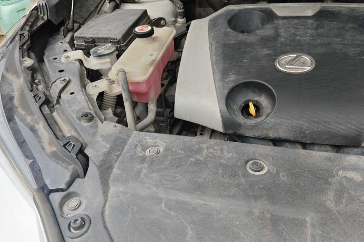 Used Lexus NX 2015 200 Front-Wheel Drive X-Trail SE Edition Engine Bay Right