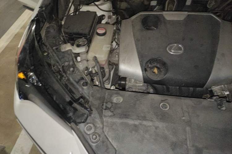 Used Lexus NX 2015 200 Front-Wheel Drive X-Trail SE Edition Engine Bay Right