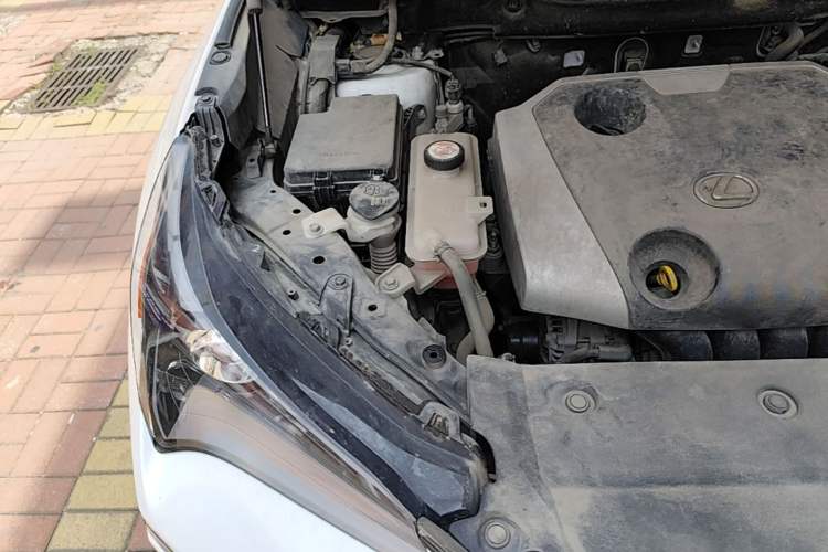 Used Lexus NX 2015 200 Front-Wheel Drive X-Trail SE Edition Engine Bay Right