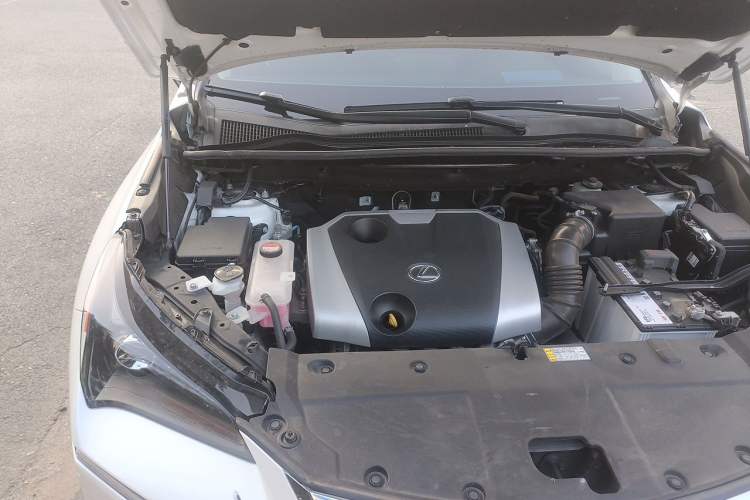 Used Lexus NX 2015 200 Front-Wheel Drive X-Trail SE Edition Engine Bay Right
