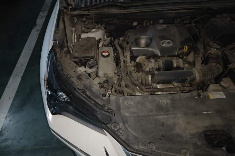 Used Lexus NX 2015 200T All-Wheel-Drive Fēngshàng Edition Engine Bay Right