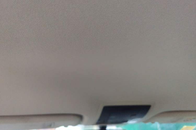 Used Lexus NX 2015 200 Front-Wheel Drive X-Trail SE Edition Headliner