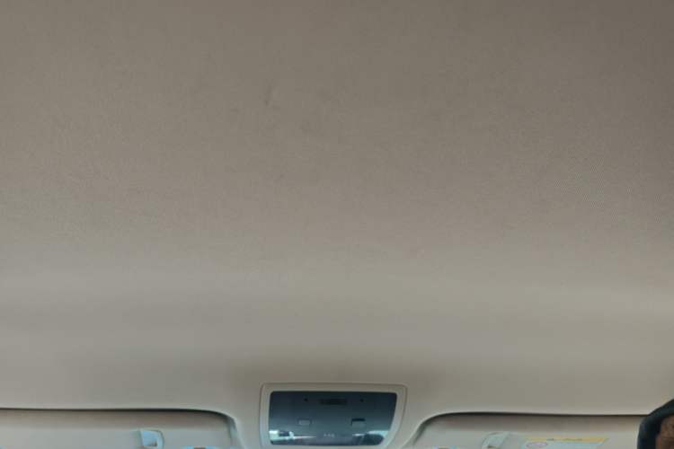 Used Lexus NX 2015 200 Front-Wheel Drive X-Trail SE Edition Headliner