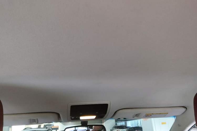 Used Lexus NX 2015 200 Front-Wheel Drive X-Trail SE Edition Headliner