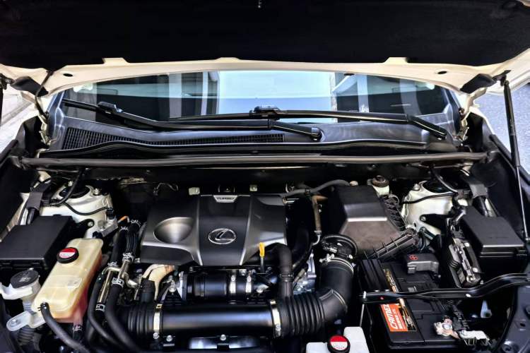 Used Lexus NX 2015 200T All-Wheel-Drive Fēngshàng Edition Interior 5