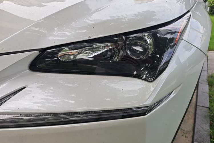 Used Lexus NX 2015 200 Front-Wheel Drive X-Trail SE Edition Left Front Headlight