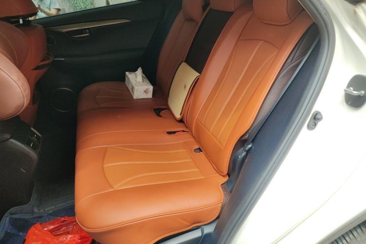 Used Lexus NX 2015 200 Front-Wheel Drive X-Trail SE Edition Left Rear Seat