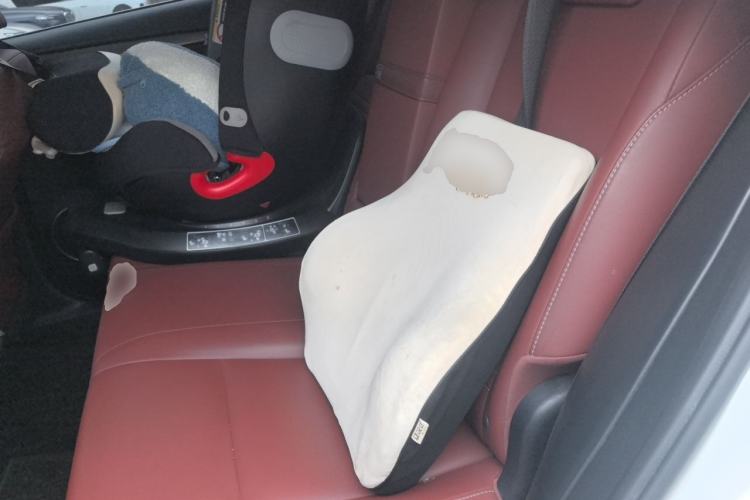 Used Lexus NX 2015 200T All-Wheel-Drive Fēngshàng Edition Left Rear Seat