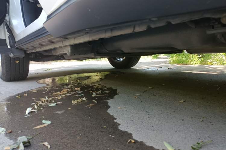 Used Lexus NX 2015 200T All-Wheel-Drive Fēngshàng Edition Left Side Sill