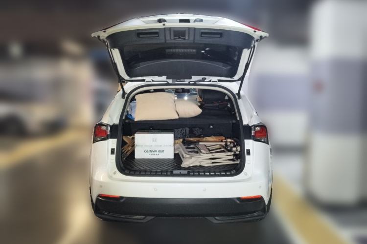 Used Lexus NX 2015 200 Front-Wheel Drive X-Trail SE Edition Trunk
