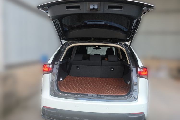 Used Lexus NX 2015 200 Front-Wheel Drive X-Trail SE Edition Trunk