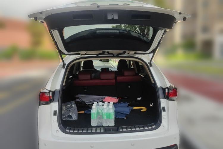 Used Lexus NX 2015 200 Front-Wheel Drive X-Trail SE Edition Trunk