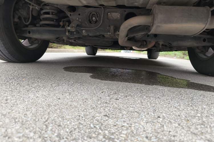 Used Lexus NX 2016 200 All-Wheel Drive FENGSHANG Version Chassis Rear