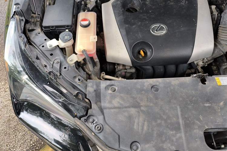 Used Lexus NX 2016 200 All-Wheel Drive FENGSHANG Version Engine Bay Right
