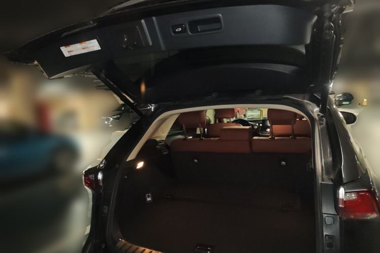 Used Lexus NX 2016 200 All-Wheel Drive FENGSHANG Version Trunk