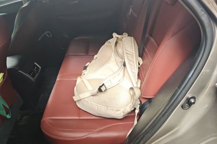 Used Lexus NX 2016 200 All-Wheel Drive FENGSHANG Version Left Rear Seat