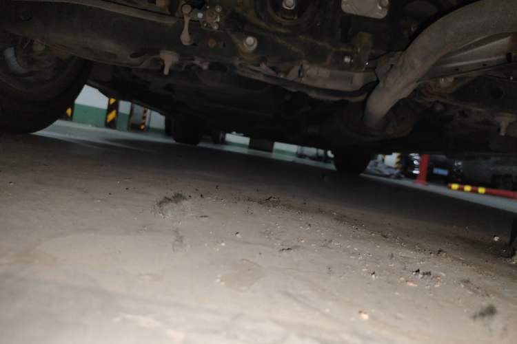 Used Lexus NX 2016 200 All-Wheel Drive FENGSHANG Version Chassis Rear