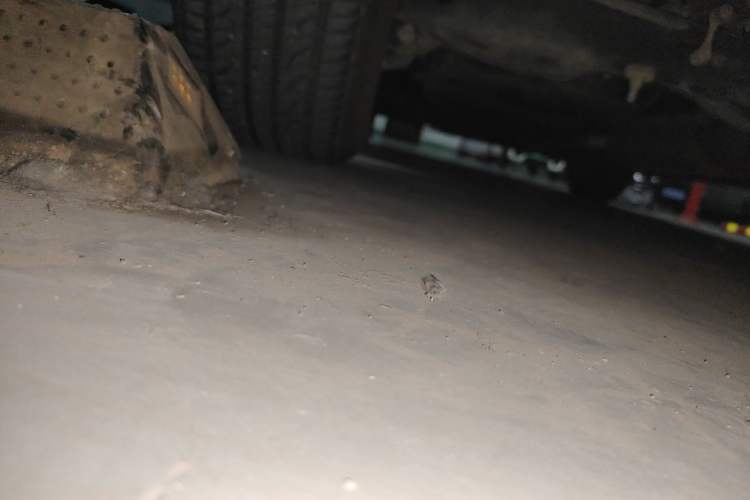 Used Lexus NX 2016 200 All-Wheel Drive FENGSHANG Version Chassis Rear Left