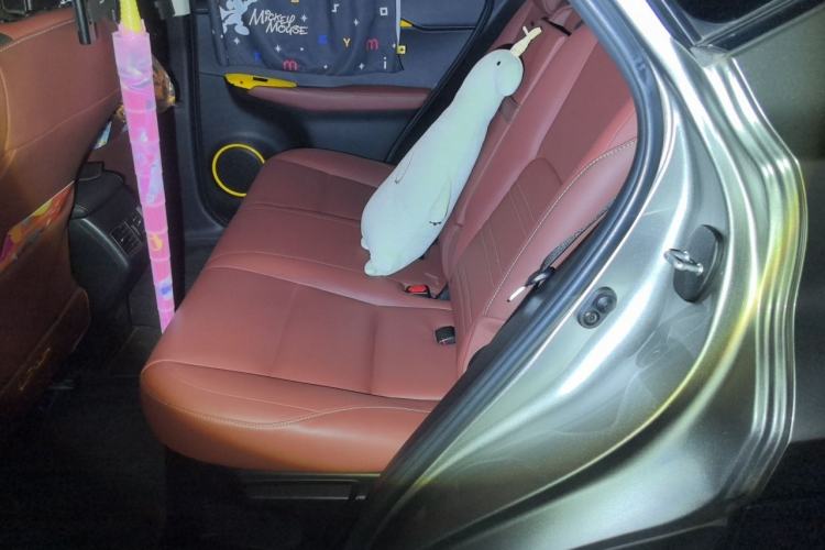 Used Lexus NX 2016 200 All-Wheel Drive FENGSHANG Version Left Rear Seat