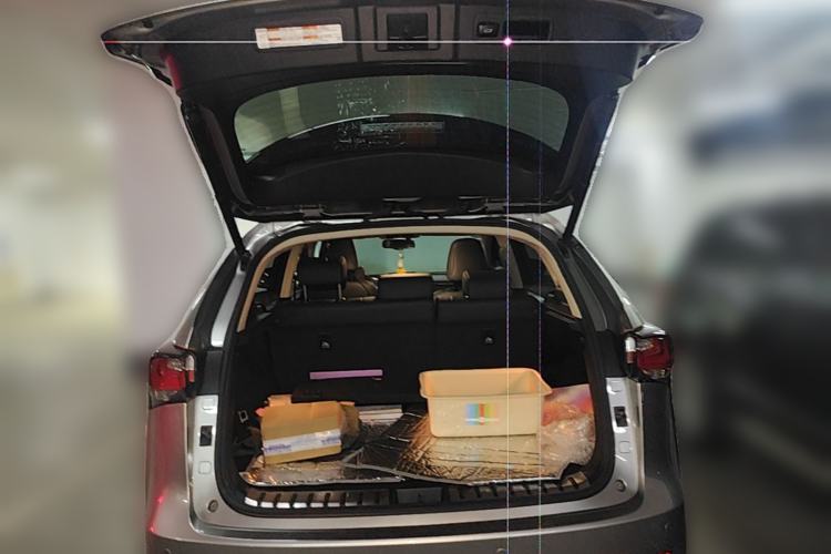 Used Lexus NX 2016 200 All-Wheel Drive FENGSHANG Version Trunk