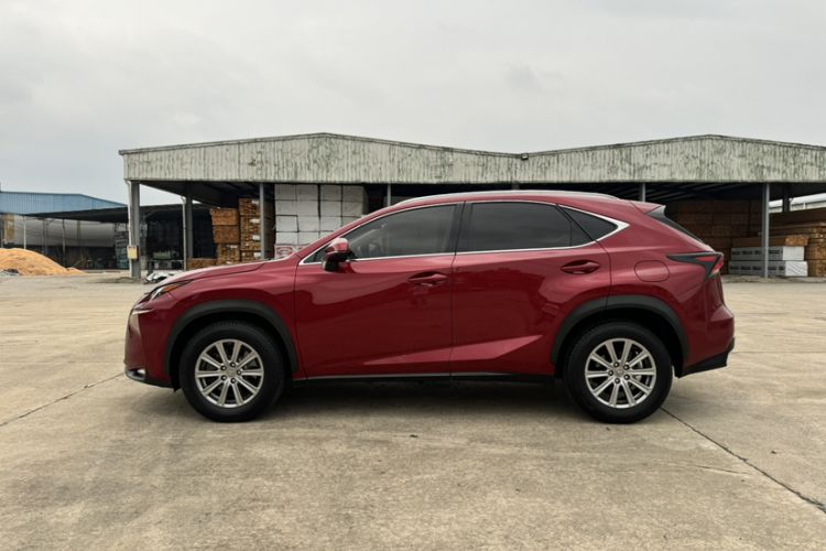 Used Lexus NX 2016 200 All-Wheel Drive FENGSHANG Version Exterior 5