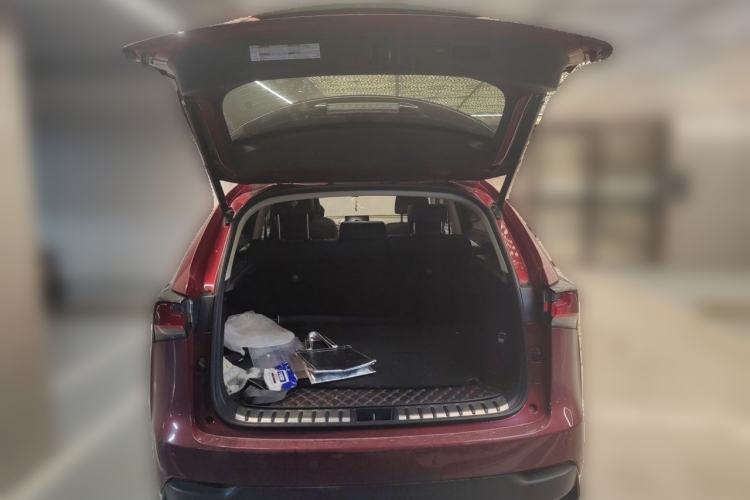Used Lexus NX 2016 200 All-Wheel Drive FENGSHANG Version Trunk