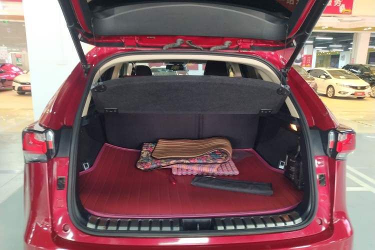 Used Lexus NX 2016 200 All-Wheel Drive FENGSHANG Version Trunk