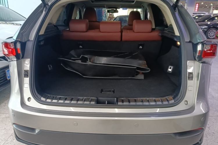 Used Lexus NX 2016 200 All-Wheel Drive FENGSHANG Version Trunk