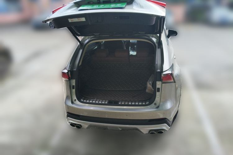 Used Lexus NX 2016 200 All-Wheel Drive FENGSHANG Version Trunk
