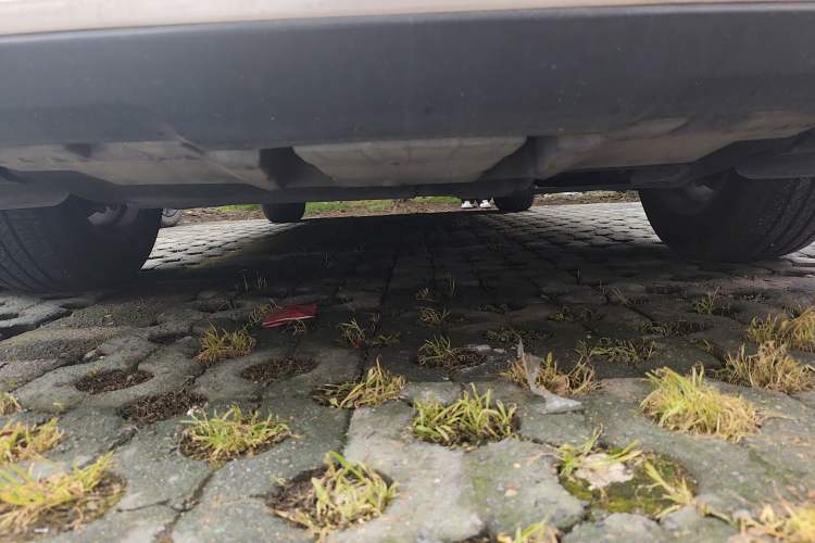 Used Lexus NX 2016 200 All-Wheel Drive FENGSHANG Version Chassis Front