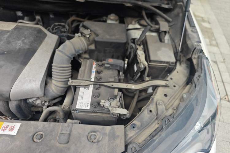 Used Lexus NX 2016 200 All-Wheel Drive FENGSHANG Version Engine Bay Left