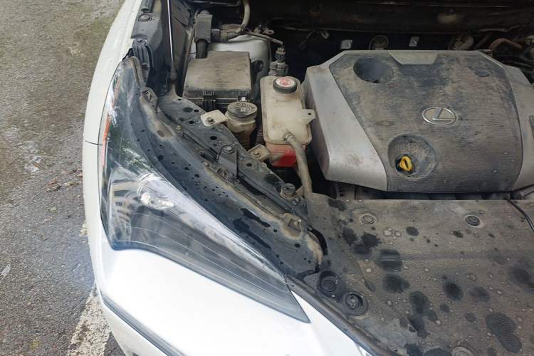 Used Lexus NX 2016 200 All-Wheel Drive FENGSHANG Version Engine Bay Right