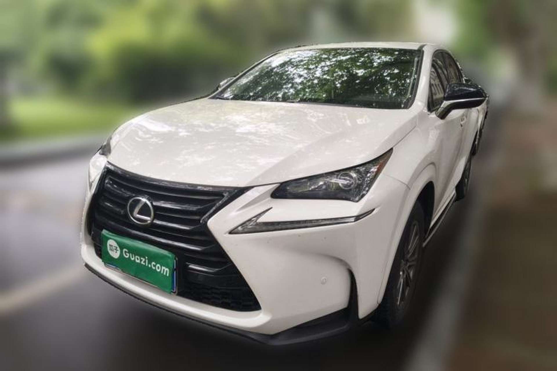 Used Lexus NX 2016 200 Special Limited Edition Front Left 45 Deg