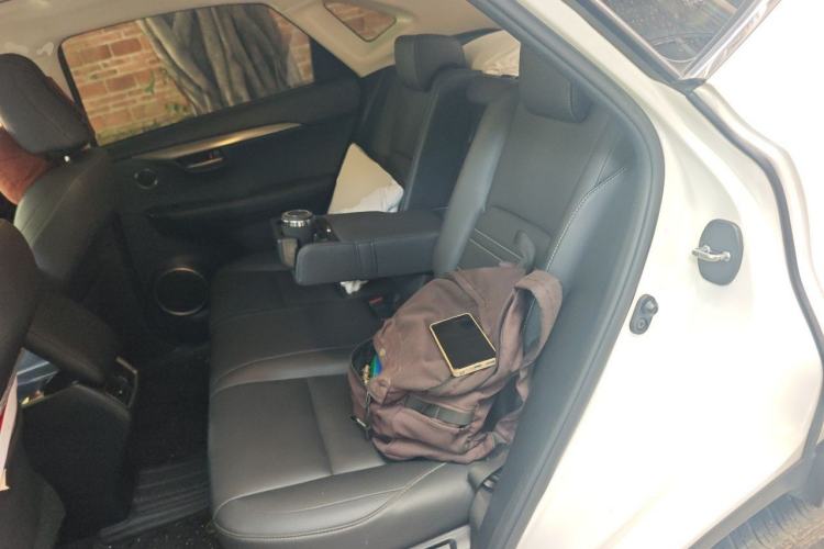 Used Lexus NX 2016 200 All-Wheel Drive FENGSHANG Version Left Rear Seat