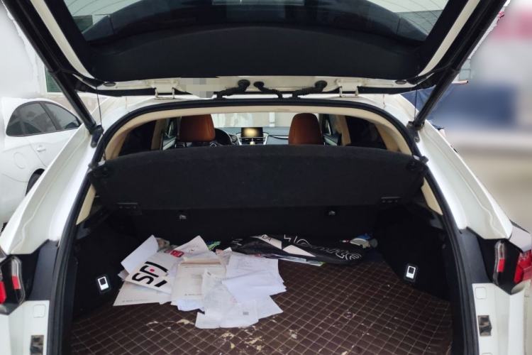 Used Lexus NX 2016 200 All-Wheel Drive FENGSHANG Version Trunk