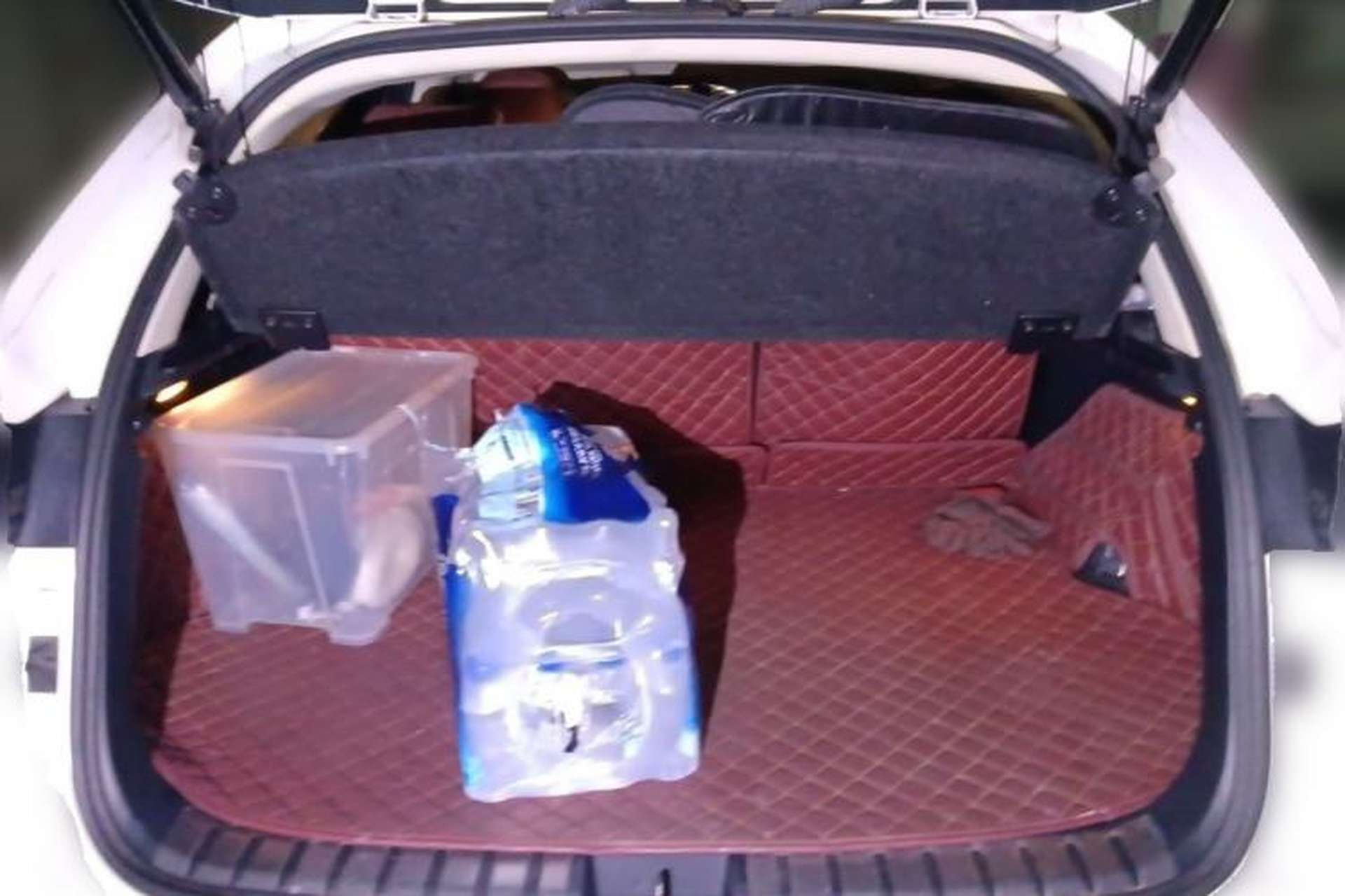 Used Lexus NX 2016 200 All-Wheel Drive FENGSHANG Version Trunk