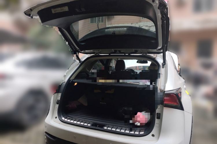 Used Lexus NX 2016 200 All-Wheel Drive FENGSHANG Version Trunk