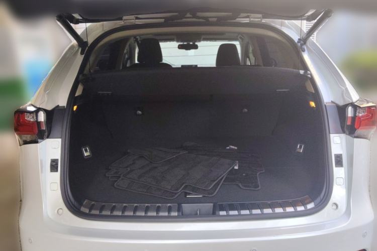 Used Lexus NX 2016 200 All-Wheel Drive FENGSHANG Version Trunk