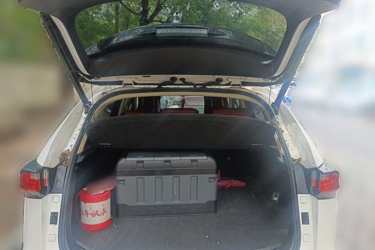 Used Lexus NX 2016 200 All-Wheel Drive FENGSHANG Version Trunk
