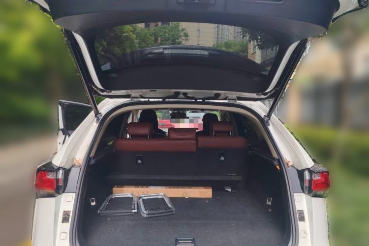 Used Lexus NX 2016 200 All-Wheel Drive FENGSHANG Version Trunk