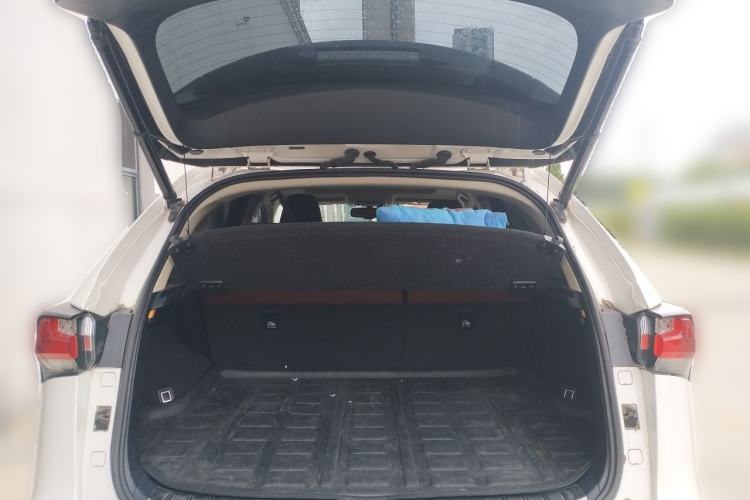 Used Lexus NX 2016 200 All-Wheel Drive FENGSHANG Version Trunk