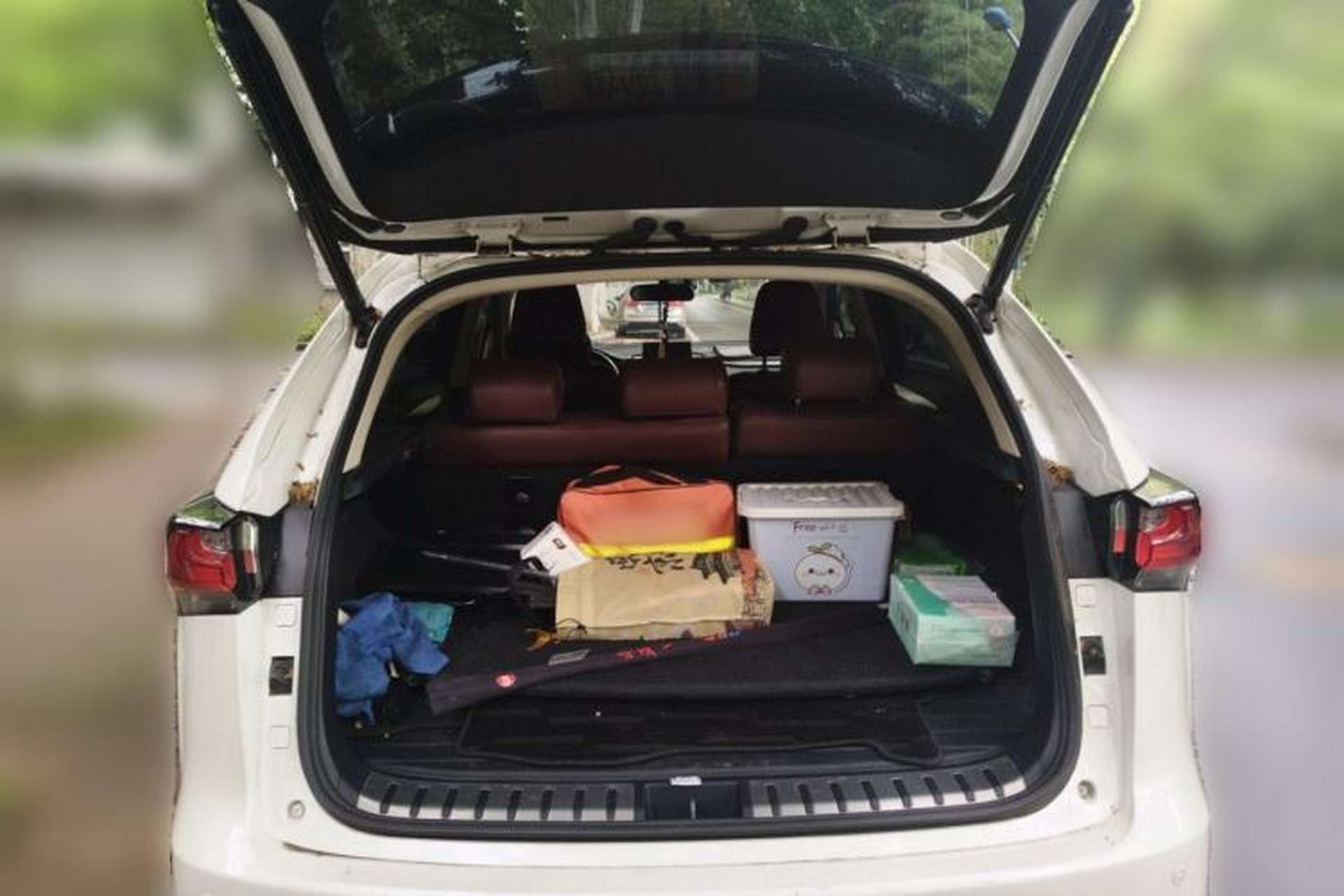 Used Lexus NX 2016 200 Special Limited Edition Trunk
