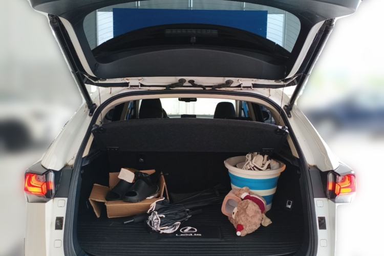 Used Lexus NX 2016 200 All-Wheel Drive FENGSHANG Version Trunk