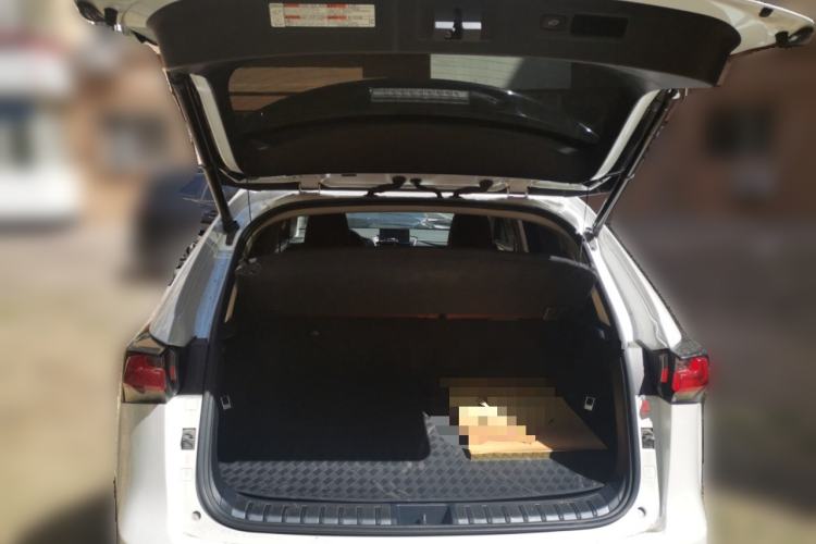 Used Lexus NX 2016 200 All-Wheel Drive FENGSHANG Version Trunk